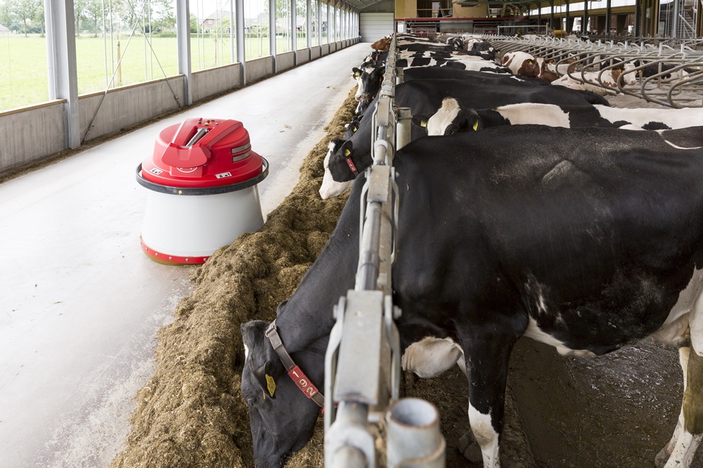 Lely Juno Niet alleen voerschuiver, maar ook booster voor melkproductie