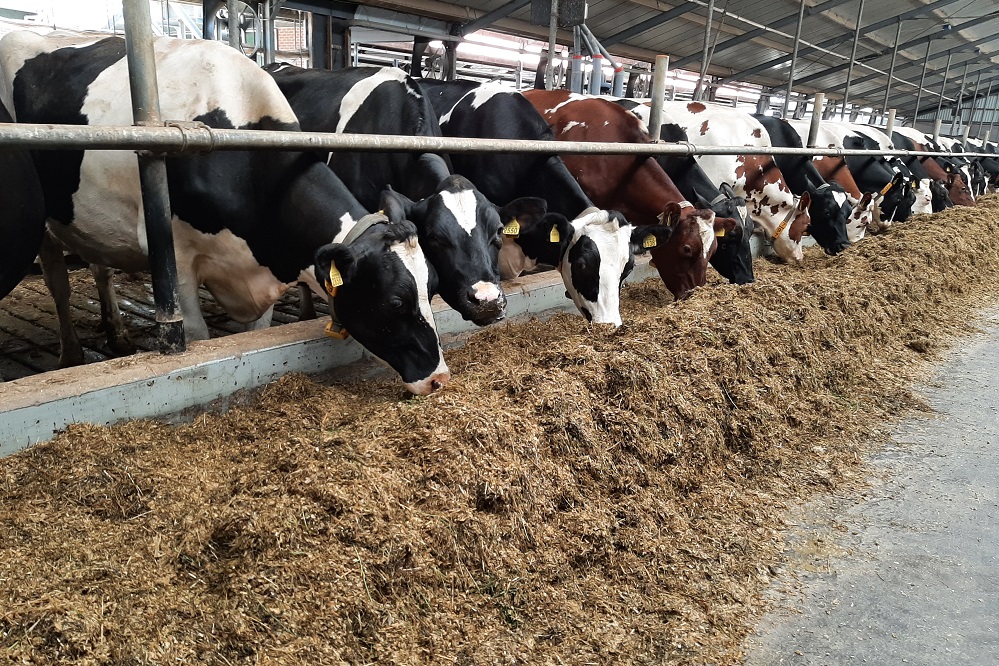 Ammoniak en broeikasgassen meten op proefboerderij De Marke