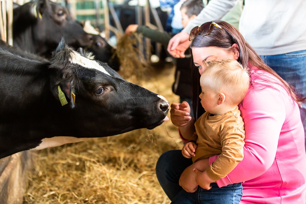 Campina Open Boerderijdagen: een kijkje op melkveebedrijven