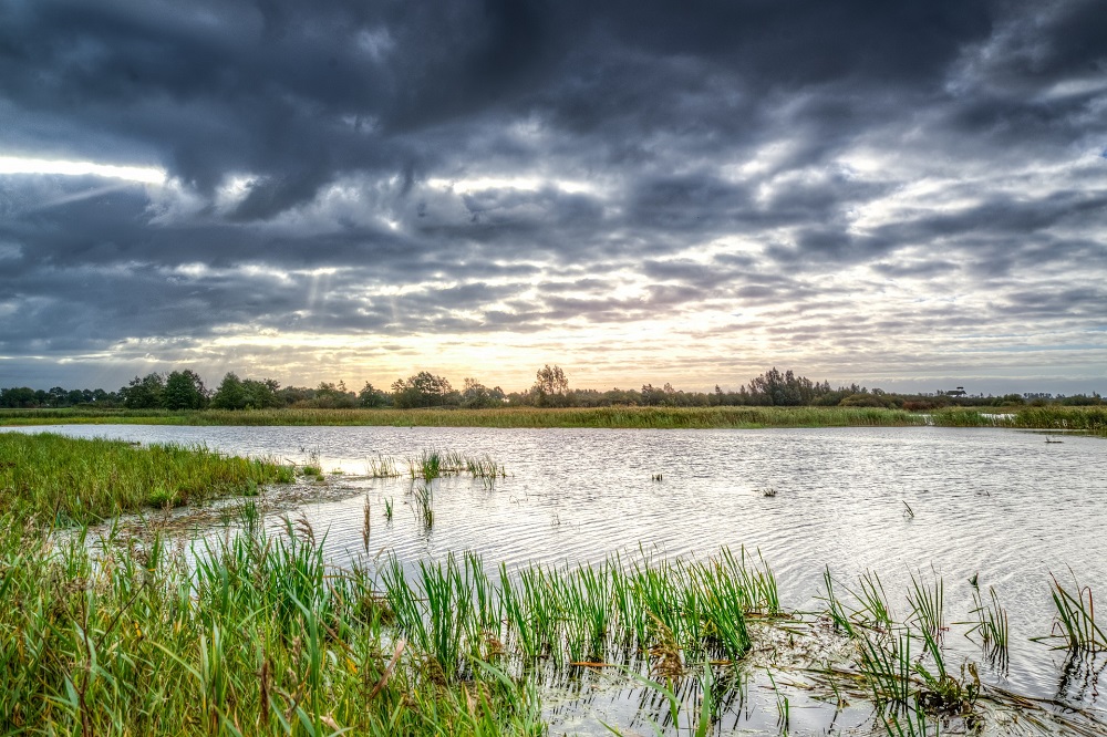 Water in droge tijden voor boeren én weidevogels in veenweidegebied