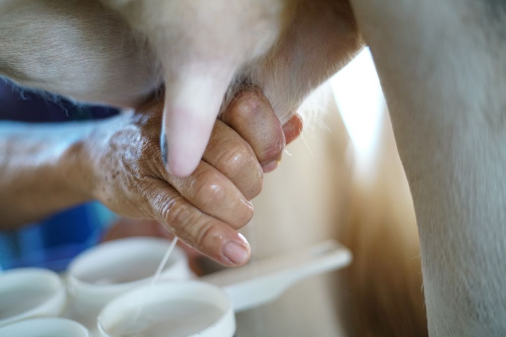 Antibioticagebruik halveren met sneltest