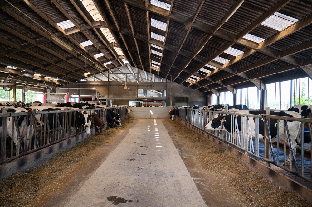 vande_velde-de_smidt_10-foto-2