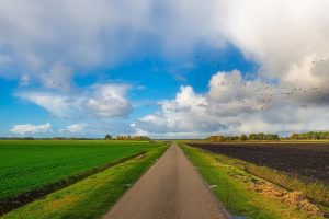 Reactie LTO op het Regeerprogramma