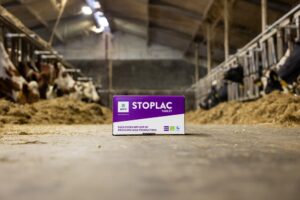 Minder melk, minder stress: 56% daling binnen 24 uur