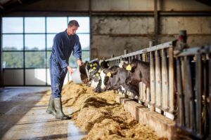 VALA en Zone.college: nieuwe cursus voor meer inzicht in de melkveehouderij