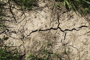 Meer nitraat in grond- en oppervlaktewater door droogte