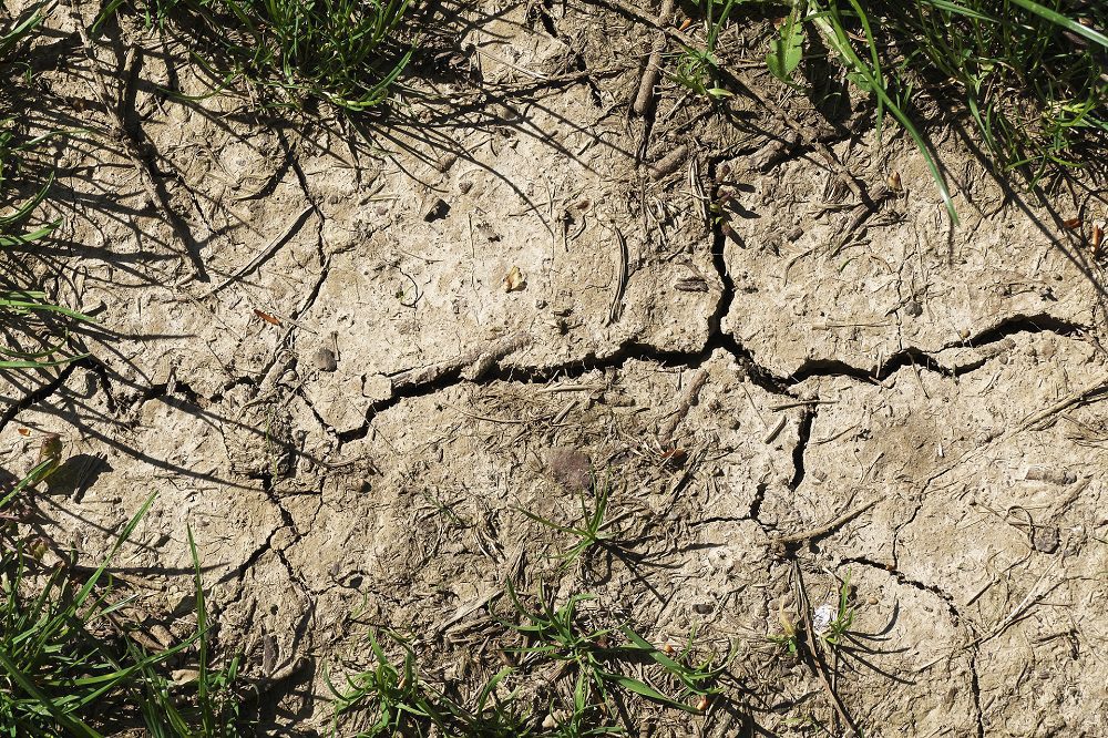 Meer nitraat in grond- en oppervlaktewater door droogte