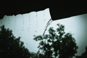 Water van daken als drinkwater voor het vee