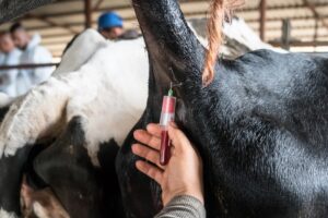 “Transitiemanagement de hoeksteen van het bedrijf”