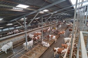 “Effect hittestress ebt generaties lang door”
