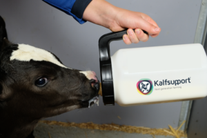 Pasteuriseren van biest: een extra slot op de deur