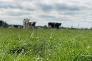 CLAAS breidt assortiment telescoopladers uit met de SCORPION 848