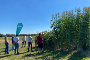 Innovatiedag Ruwvoer: efficiënt omgaan met ruwvoer en het bouwplan