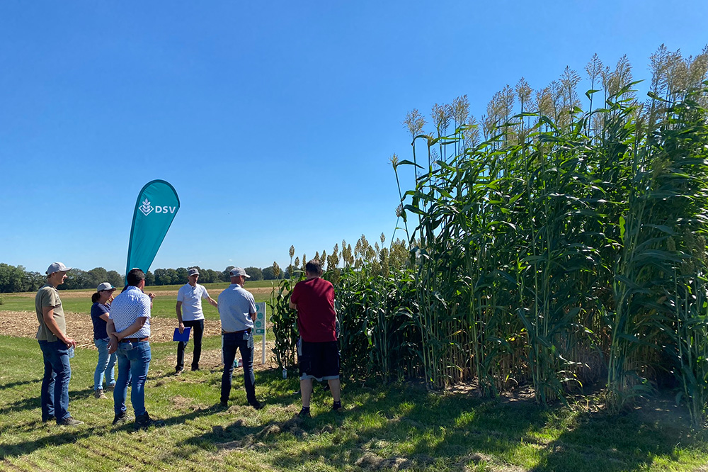 Innovatiedag Ruwvoer: efficiënt omgaan met ruwvoer en het bouwplan