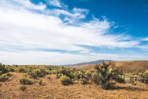Ongeveer 100.000 hectare verandert in woestijn in Roemenië