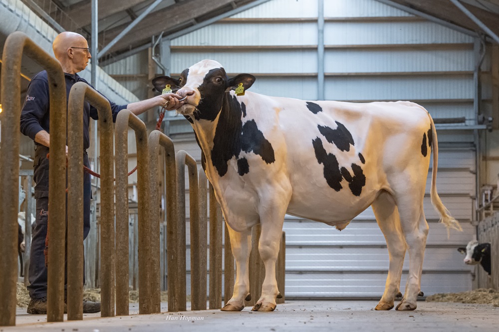 CRV, K.I. Kampen en K.I. Samen tonen genetische topprestaties