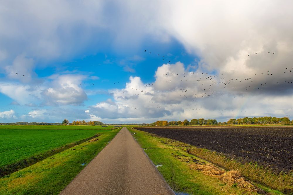 Gemiddelde prijs agrarische grond naar recordhoogte gestegen