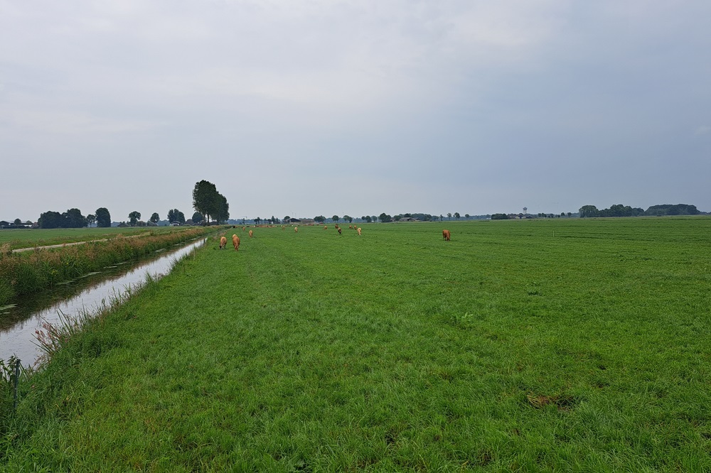 “De huidige grondmarkt werkt niet voor boeren”