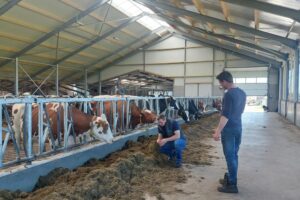 Stefan Galesloot investeert in stal en voer voor rust op het erf