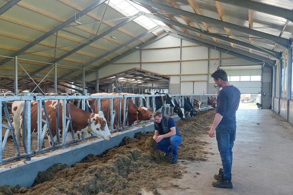 Stefan Galesloot investeert in stal en voer voor rust op het erf