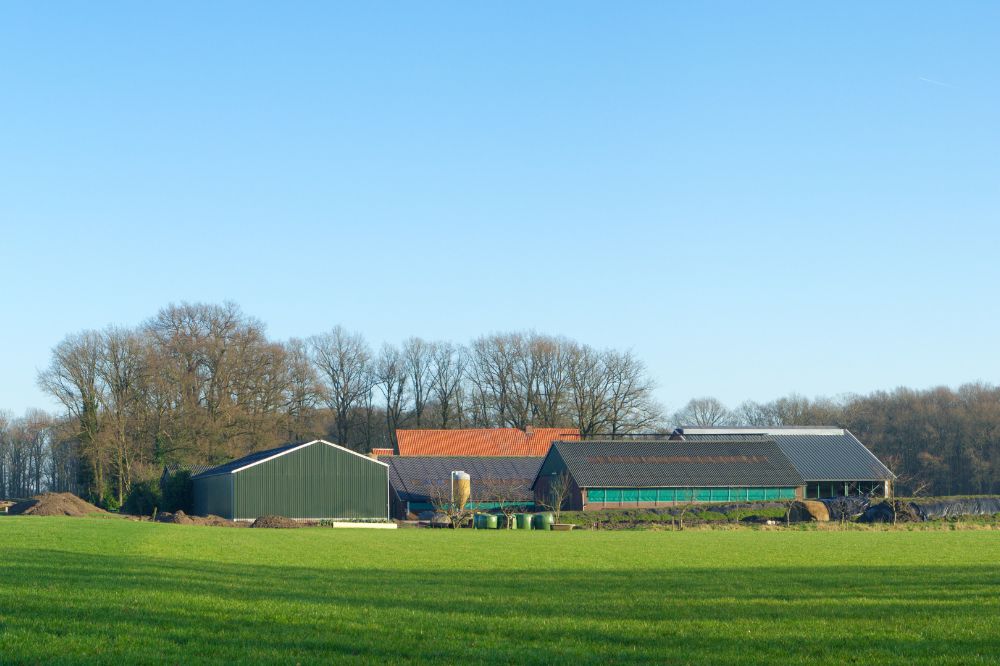 RIVM: 'stikstofneerslag daalt sneller dan verwacht'