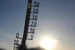 Eurocommissaris spreekt zich uit tegen Nederlandse 30-gradenregel voor diertransport