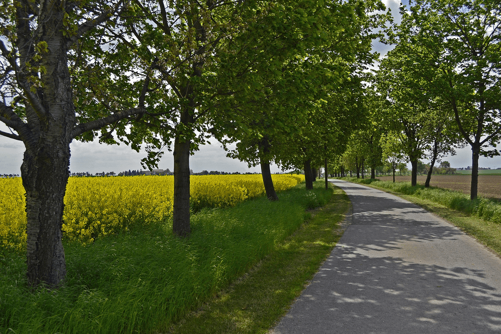 Stimuland pleit voor Plattelandsakkoord en minister van Platteland