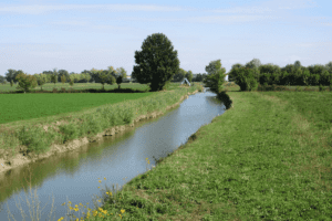 Veldgids ecologisch slootbeheer gratis te downloaden
