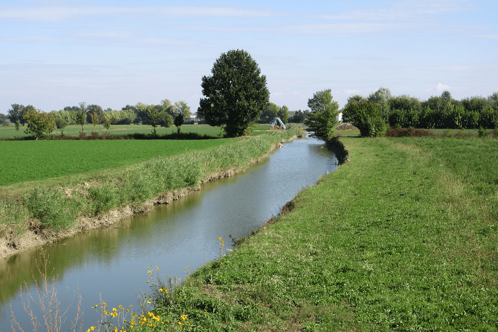 Veldgids ecologisch slootbeheer gratis te downloaden