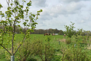 Boeren en boswachters in gesprek over grasland