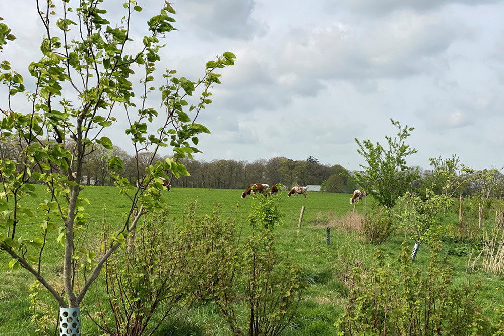 Boeren en boswachters in gesprek over grasland
