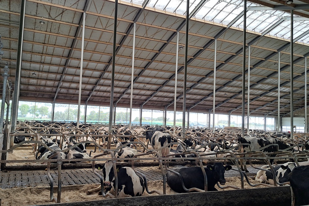 UNIFORM-Agri koppelt genetische informatie aan stalmanagement