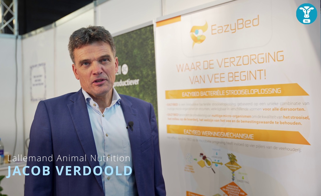 Eazybed: voor betere hygiëne in het strooisel