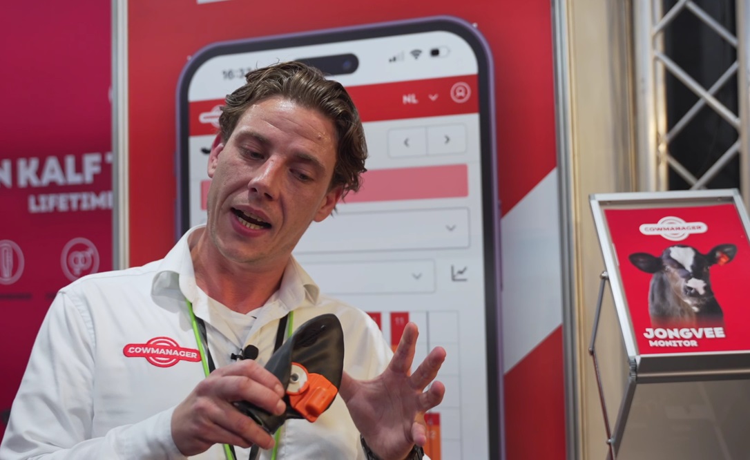 CowManager introduceert Jongvee Monitor: complete gezondheid van kalf tot koe