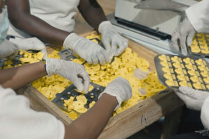 Eén oormerk, duizenden kansen: internationale samenwerking versterkt veehouderij in Afrika