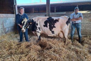 Drie honderdtonners in één jaar bij Stefan Pareijn in Bree