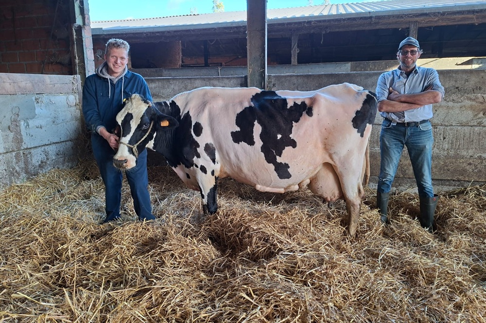 Drie honderdtonners in één jaar bij Stefan Pareijn in Bree