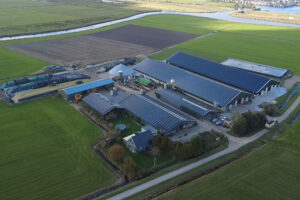 Grote melkveehouder investeert in batterijcapaciteit om bedrijfscontinuïteit