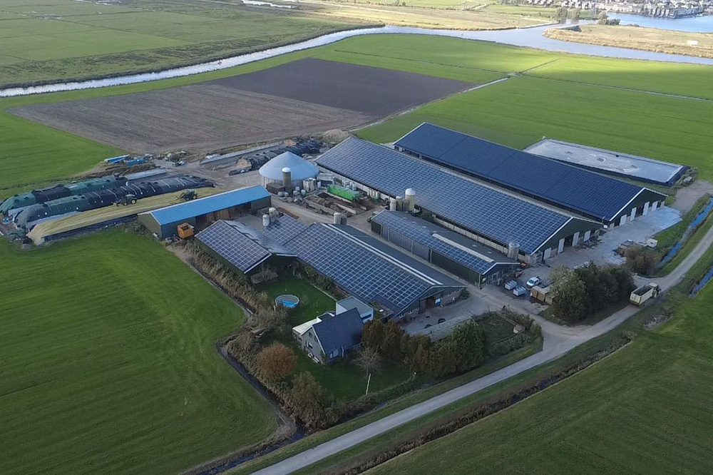 Grote melkveehouder investeert in batterijcapaciteit om bedrijfscontinuïteit