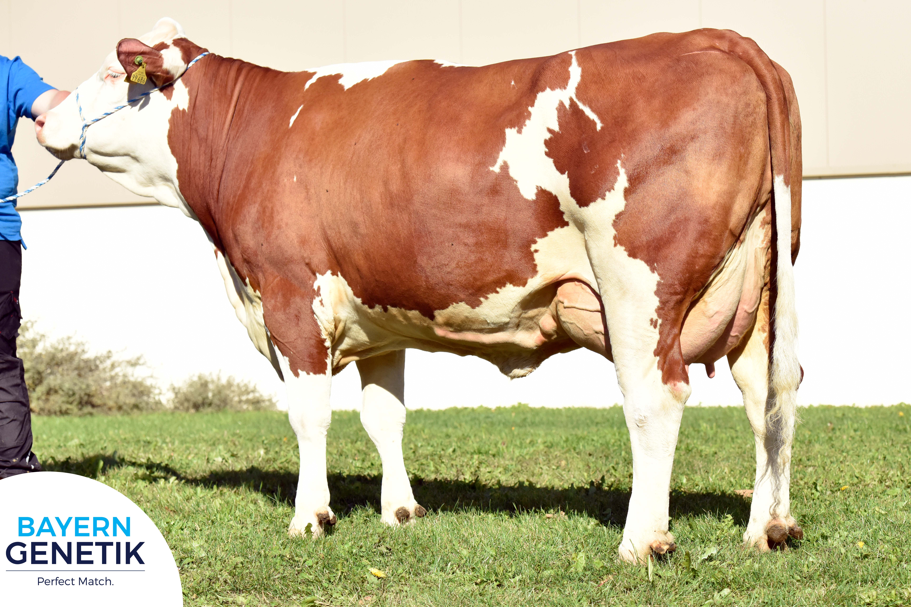 Wetterstein_Mutter_Balega Pp_0957599686_1.Lak_Schleicher_BGT_Logo (002) lr