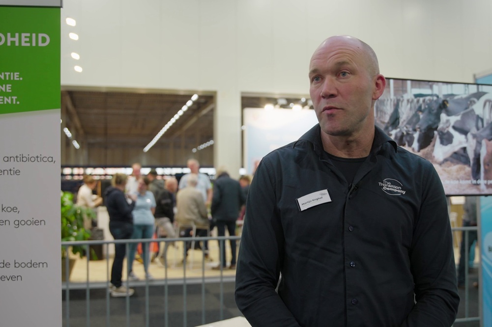 Mortellaro onder controle dankzij kaneel, tijmolie en hars