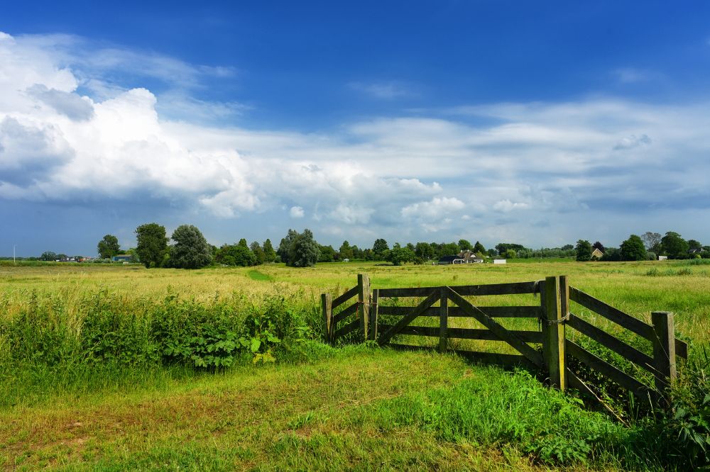 Grote zorgen brede sectoren over Natuurherstelverordening