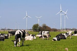 Teun Wientjes nieuw bestuurslid vakgroep Melkveehouderij
