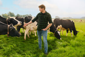 FrieslandCampina sluit 2025 af met goede resultaten