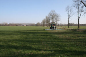 “Zorgen voor zoveel mogelijk vitale grassprieten per vierkante meter”