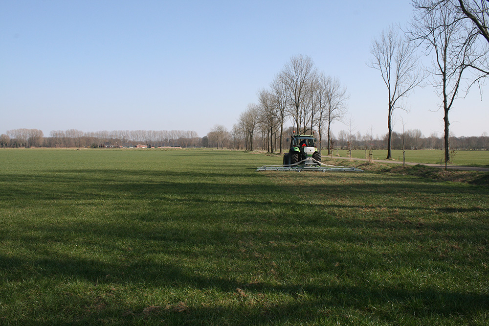 “Zorgen voor zoveel mogelijk vitale grassprieten per vierkante meter”