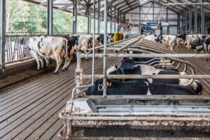 Uitstel uitfasering emissiearme stalvloeren