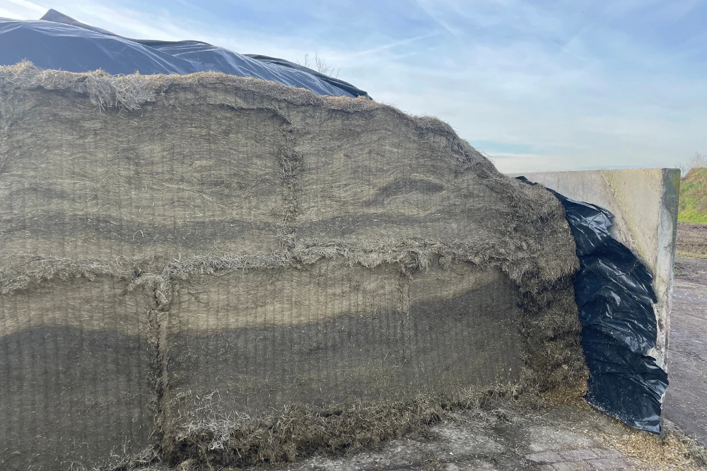 De kuilwand na het werken met de pelikaanbak (links) en na gebruik van de kuilhapper van Flingk Machinebouw