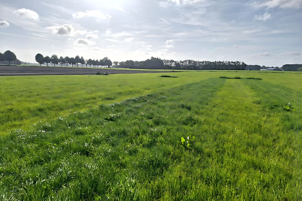 “Fertigatie leverde 1.250 euro per hectare meeropbrengst aan voederwaarde op”