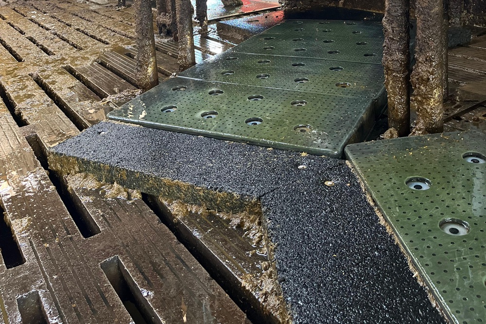 Mortellaro krijgt de volle laag met sproeiende klauwmat